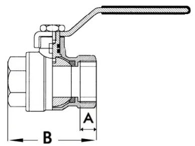 17.228.xx e 55-56 dis image