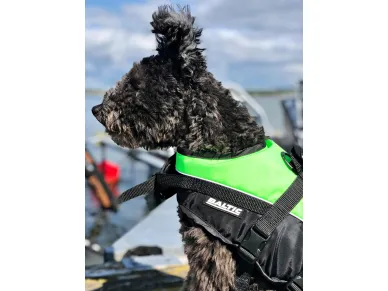 Mascot_green_black_action image