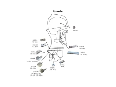 Honda Chart 2021 image