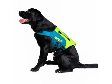 130-3-240023001_dog image