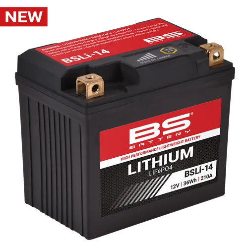 BSLi-14-vignette image